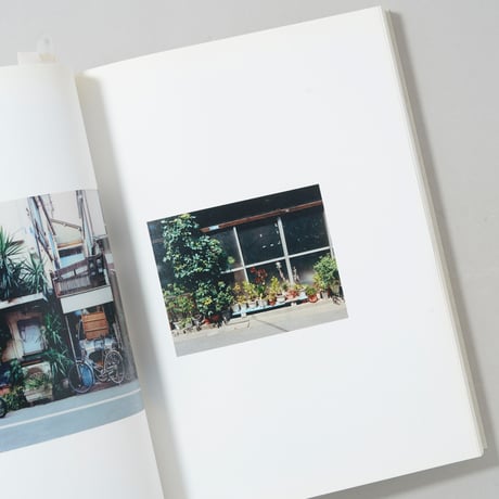 植木 / 高木康行(Yasuyuki Takagi)