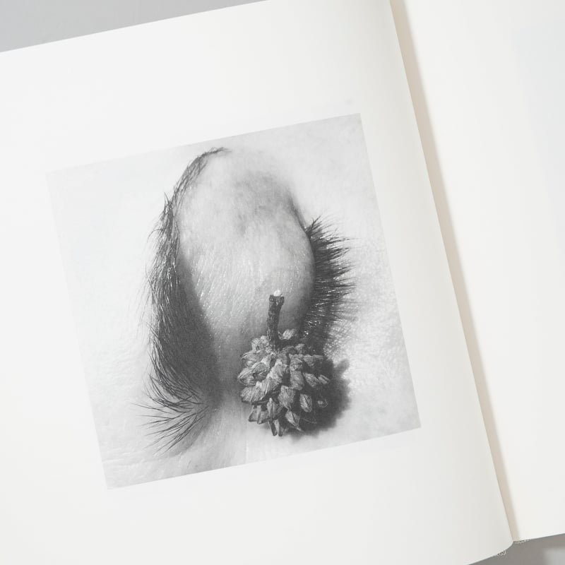 Jack Davison Photographs ジャック・デイヴィソン 写真集 PHOTOGRAPHS by Jack Davison [THIRD EDITION] – twelvebooks