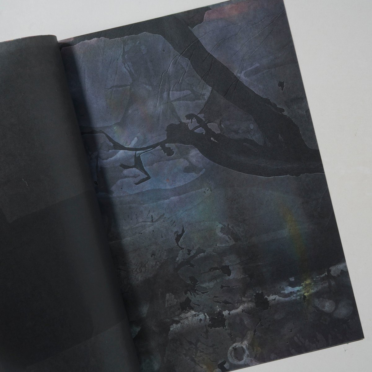 横田大輔 Print House Session 2019 全部 Printed／Matter」 Print House Session 2019 / 横田大