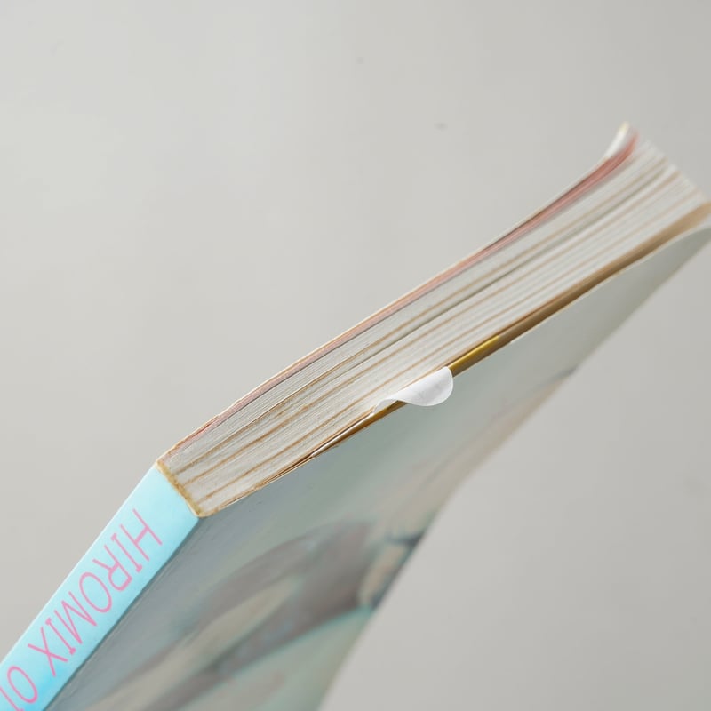 HIROMIX 1 / HIROMIX(ヒロミックス) | bookobscura｜写真集専門