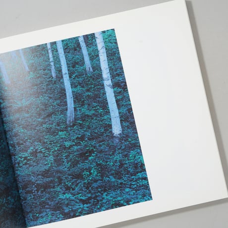 LOUIS VUITTON FOREST / 瀧本幹也(Mikiya Takimoto)