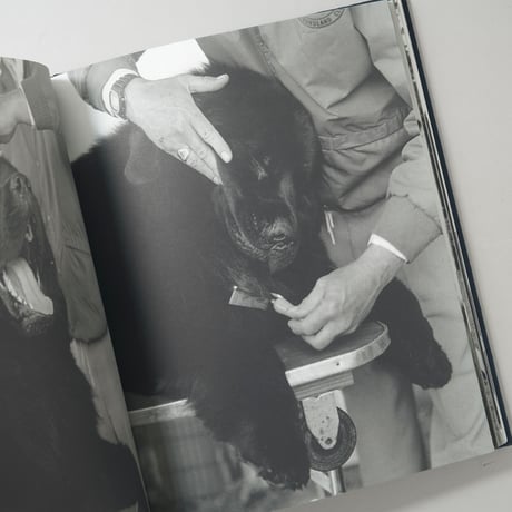 GENTLE GIANTS / Bruce Weber(ブルース・ウェーバー)