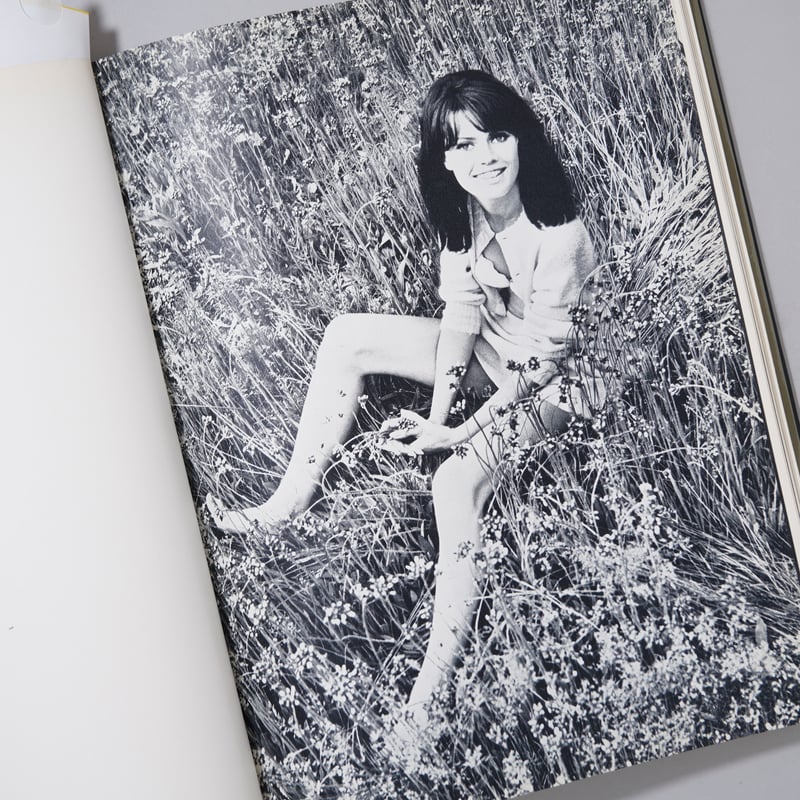 Mirror of Venus / Wingate Paine(ウィンゲート・ペイン) | b