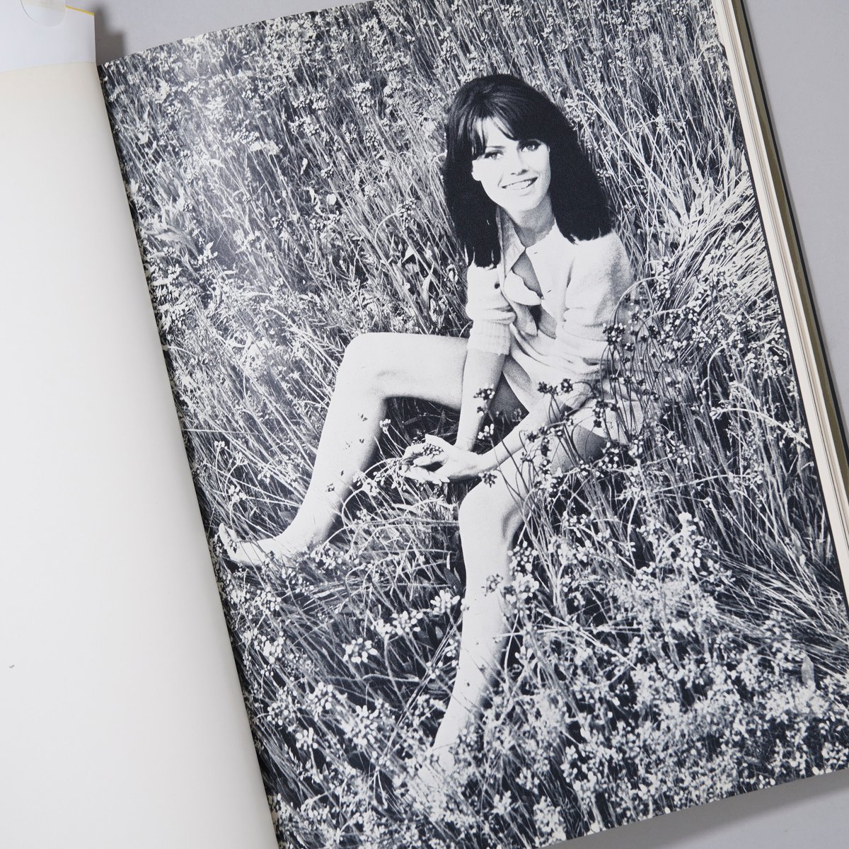 絵画 Au Quartier Latin pub mirror Venus fit=scale-down,w=1200