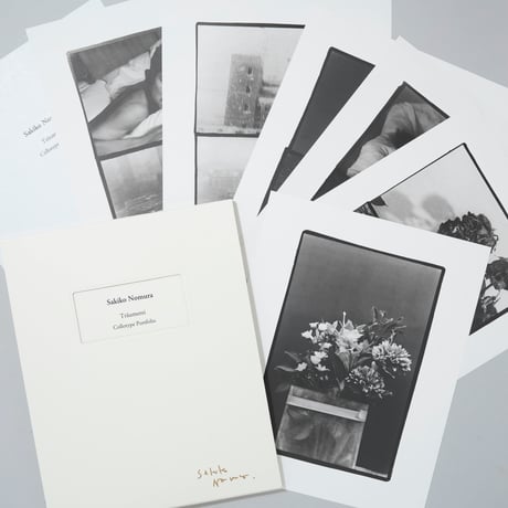 [新刊サイン入/New,Signed] ミニポートフォリオ《トロイメライ》 / 野村佐紀子(Sakiko Nomura)