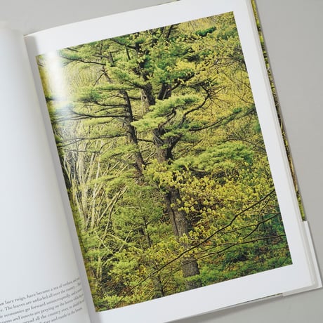 In Wildness Is the Preservation / Eliot Porter(エリオット・ポーター)