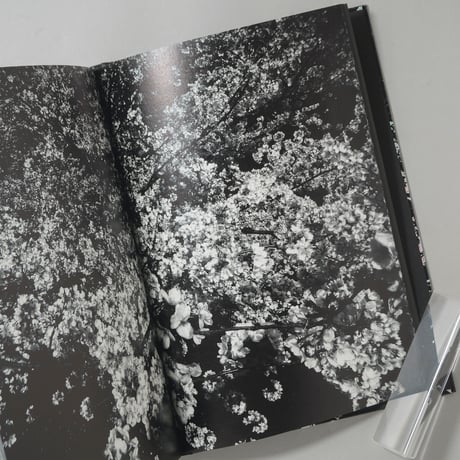 [サイン入/Signed] Ango(日本語版) / 森山大道(Daido Moriyama)