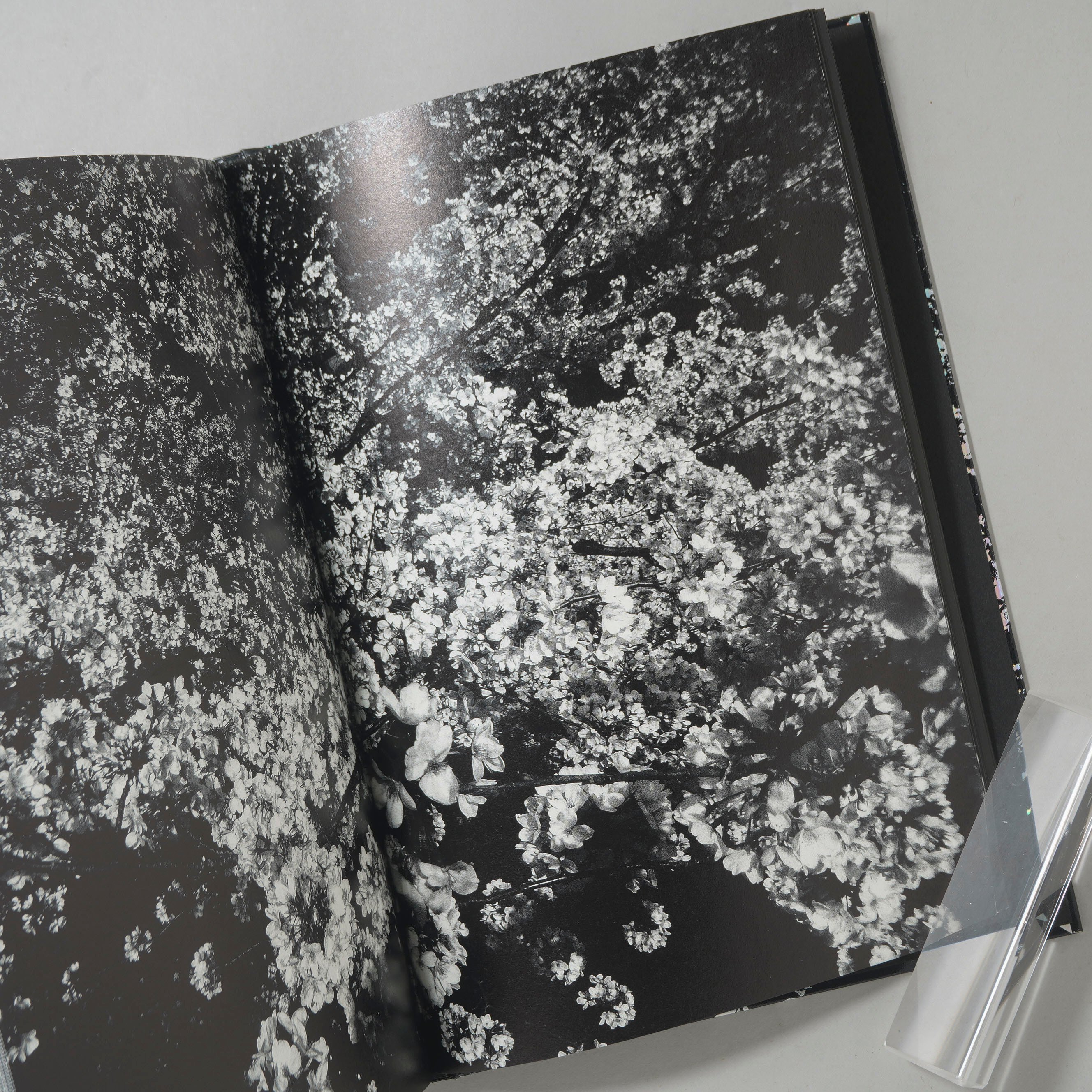 ANGO　森山大道　Daido Moriyama　直筆サイン入り サイン入/Signed] Ango(日本語版) / 森山大道(Daido Moriyama