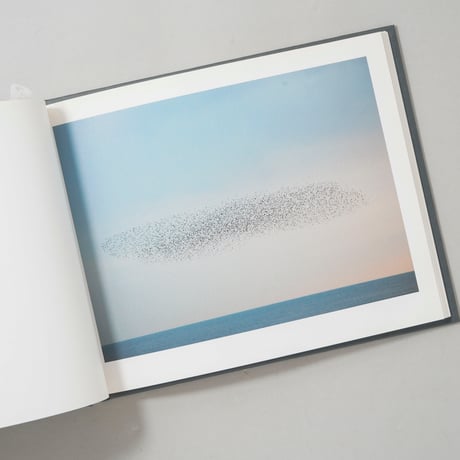 [サイン入/Signed] MURMURATION / 川内倫子(Rinko Kawauchi)