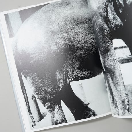 森山大道写真集成 4 光と影 / 森山大道(Daido Moriyama)