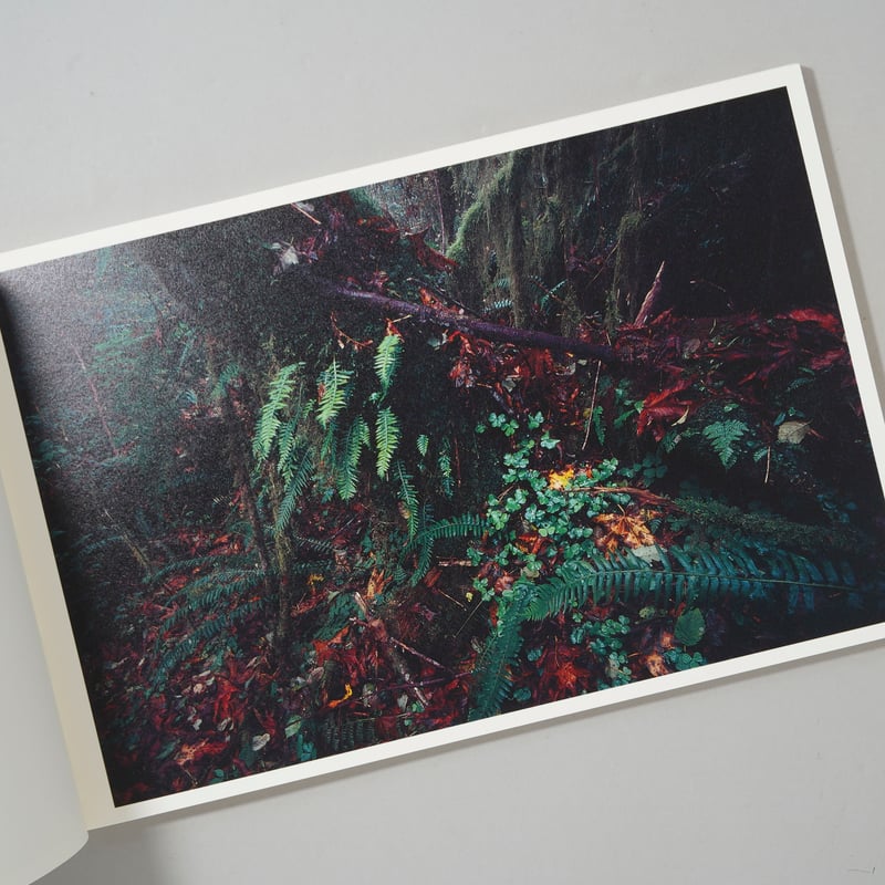 COLORS / 藤原新也(Shinya Fujiwara) | bookobscura｜写真