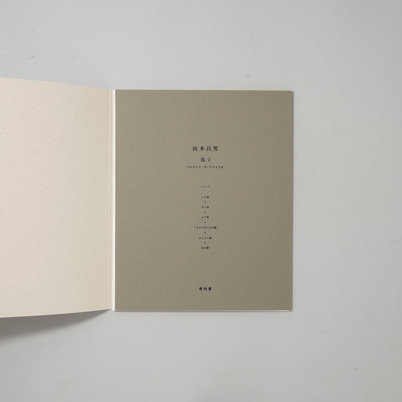 コロタイプポートフォリオ 山本昌男 Bird 2 / 山本昌男(Masao