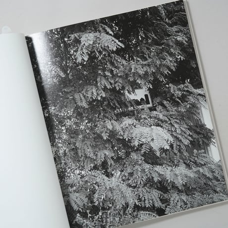 Stepping Out Into This Almost Empty Road / Monika Orpik(モニカ・オルピク)