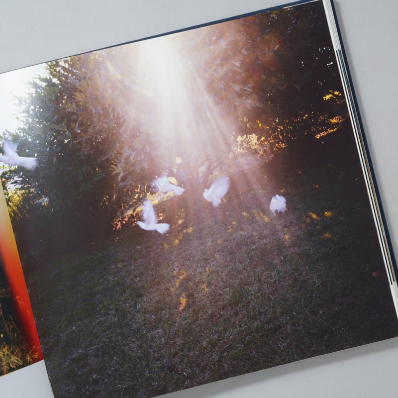 Diving for Pearls / Nan Goldin(ナン・ゴールディン) | boo