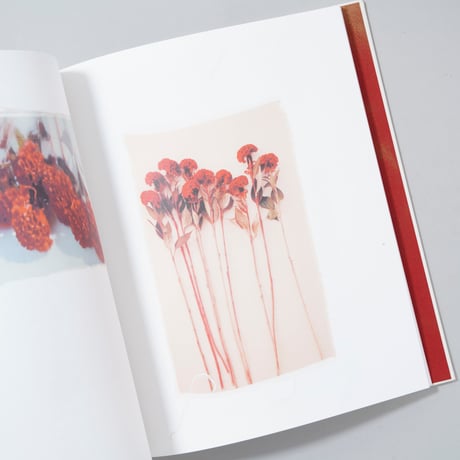 [新刊/New] Swaying Flowers / Ayaka Endo(遠藤文香)