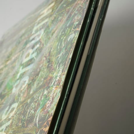 NEW PICTURES FROM PARADISE / Thomas Struth(トーマス・シュトゥルート)