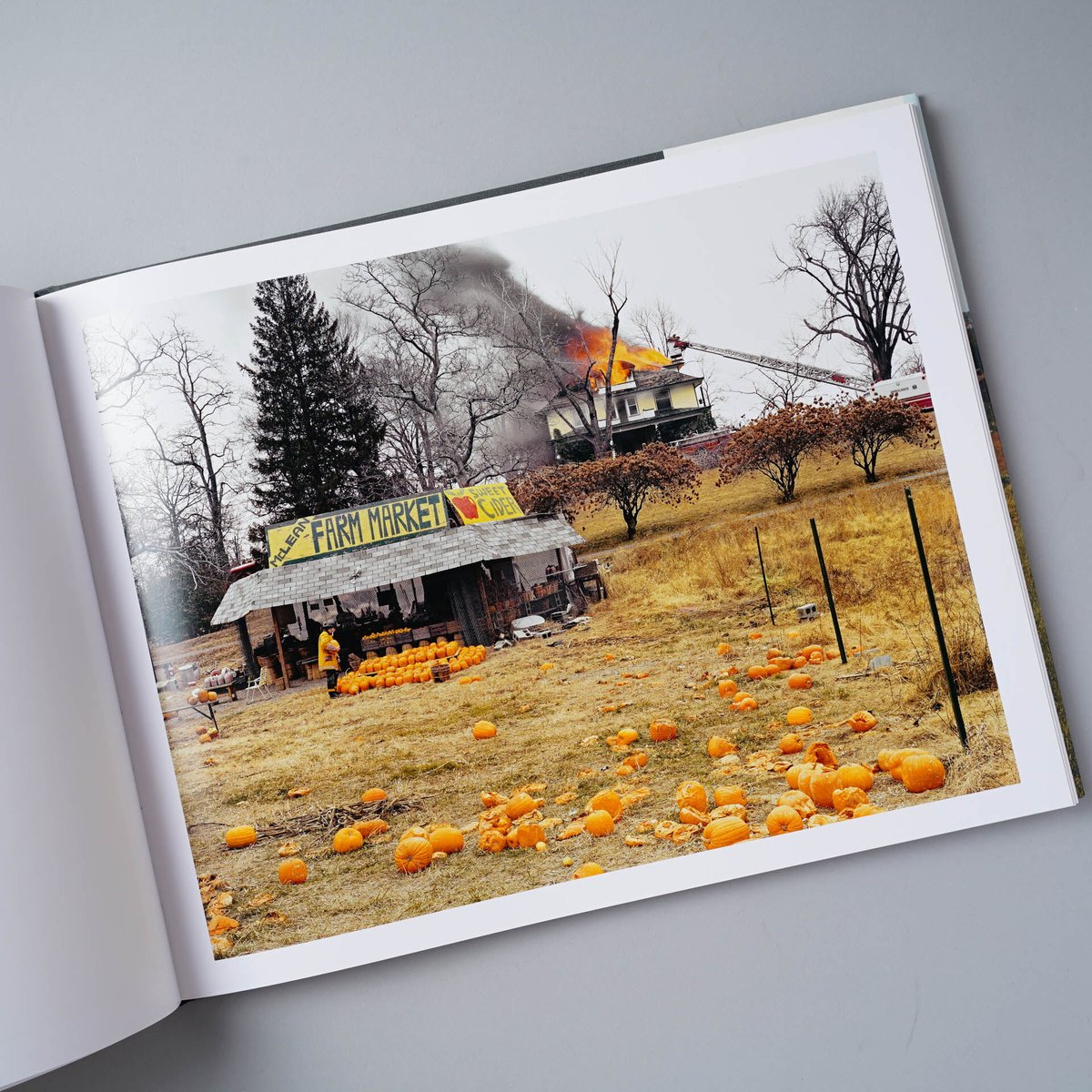 JOEL STERNFELD 「AMERICAN PROSPECTS 」1994年 Chronicle Books 英語