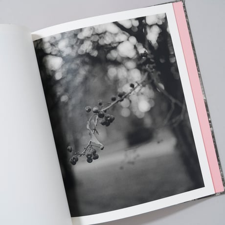 [新刊サイン入/New,Signed]LET ME SOW LOVE / Roger Richardson(ロジャー・リチャードソン)