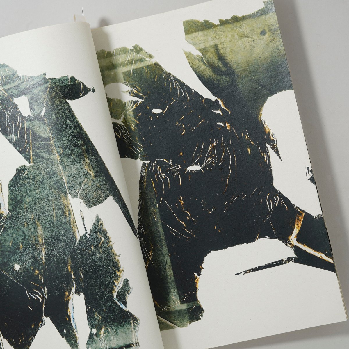 サイン入/Signed] Film / 横田大輔(Daisuke Yokota) | boo