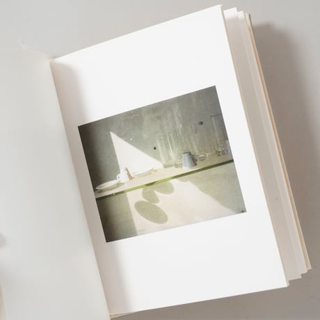 [新刊/New]INSIEME / Irina Rozovsky(イリーナ・ロゾフスキー), Mark Steinmetz(マーク・シュタインメッツ)