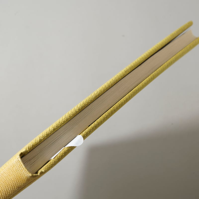 Songbook / Alec Soth (アレック・ソス) | bookobscura｜写真