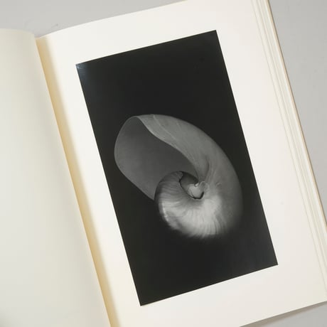 Into the silent land / 上田義彦（Yoshihiko Ueda）
