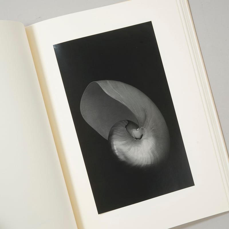 Into the silent land / 上田義彦（Yoshihiko Ueda） | b