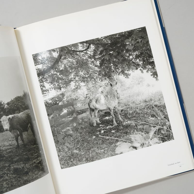 Peter Hujar A Retrospective / Peter Hujar(ピーター・