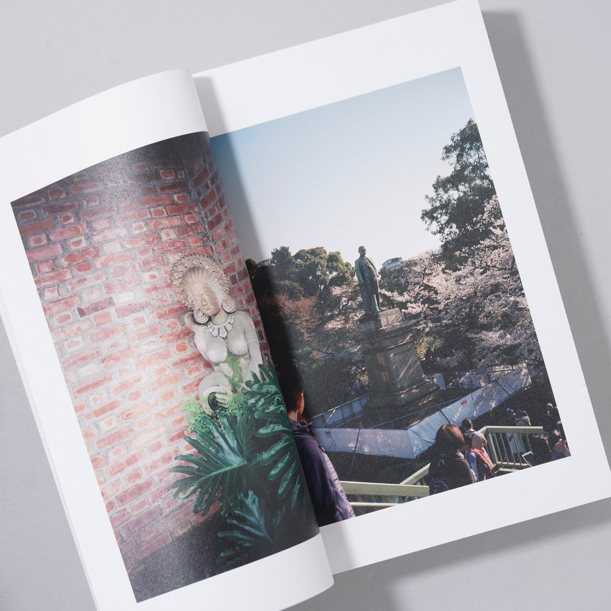 新刊サイン入/New,Signed]花と散る ドリームナビゲーター / 富澤大輔