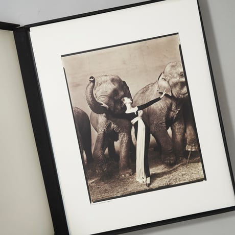 125 Great Moments of Harper's Bazaar / Richard Avedon, Diane Arbus, Henri Cartier Bresson他