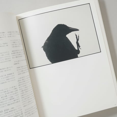 MASAHISA FUKASE 赤々舎 / 深瀬昌久(Masahisa Fukase)