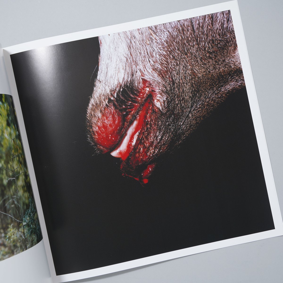 【直筆サイン入】田附勝 「その血はまだ赤いのか」 「おわり」 写真集 2冊セット サイン入/Signed]その血はまだ赤いのか / 田附勝(Masaru Tatsuki