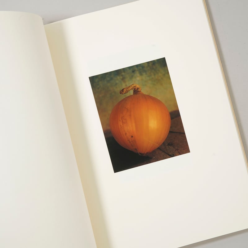 上田 義彦Into The Silent Land Yoshihiko Ueda Into the silent land / 上田義彦（Yoshihiko Ueda） | b