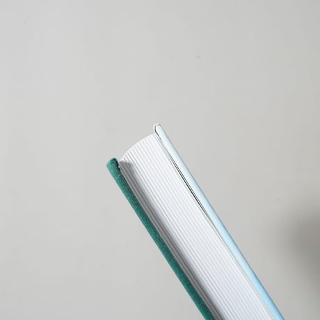 American Surfaces: Revised & Expanded Edition / Stephen Shore(スティーブン・ショア)