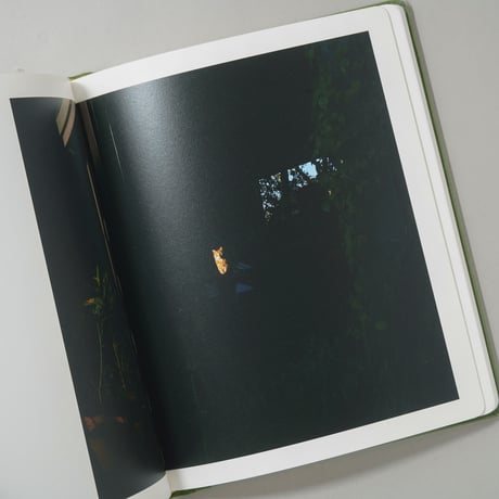 [新刊/New] Sunshine Terrace / Emily Shur(エミリー・シューア)