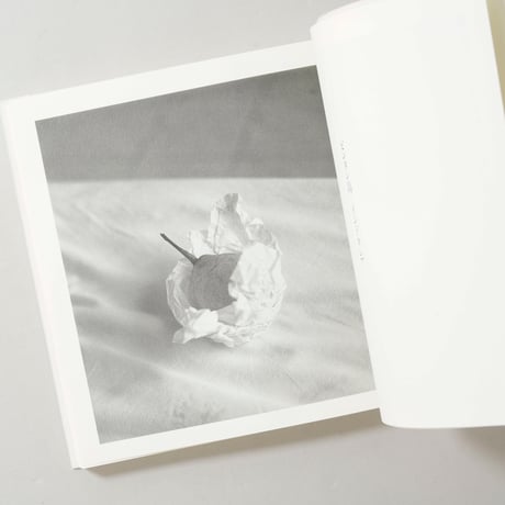 午後の最後の日射 / 渡部さとる(Satoru Watanabe)
