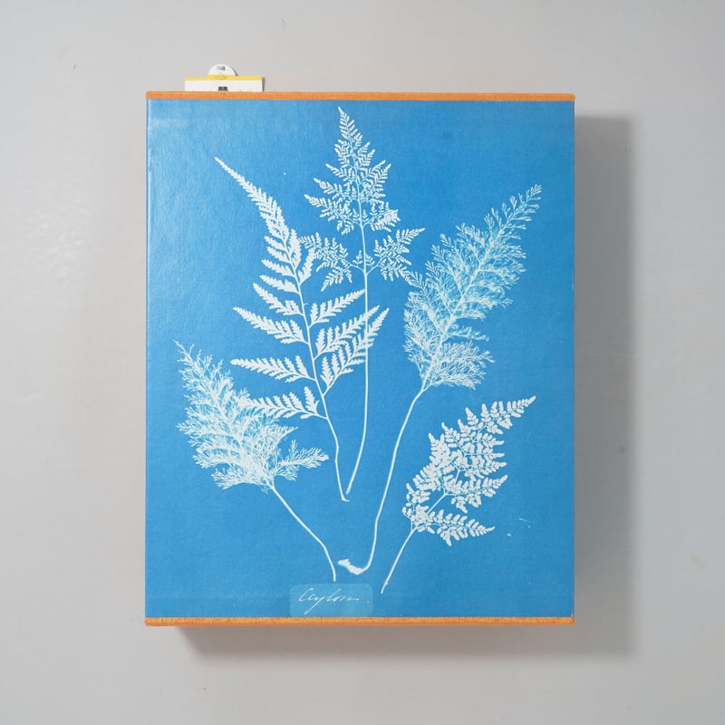 CATEGORY ー 2020s | bookobscura｜写真集専門書店｜写真家