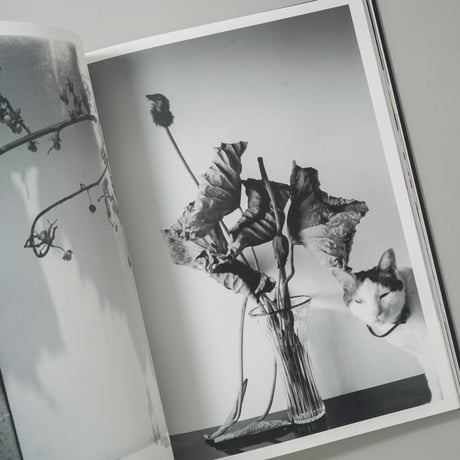 花人生 特別装丁版 / 荒木経惟(Nobuyoshi Araki)