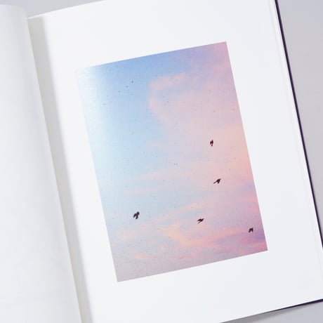 [新刊サイン入/New,Signed]Splendor / Courtney Allen(コートニー・アレン)