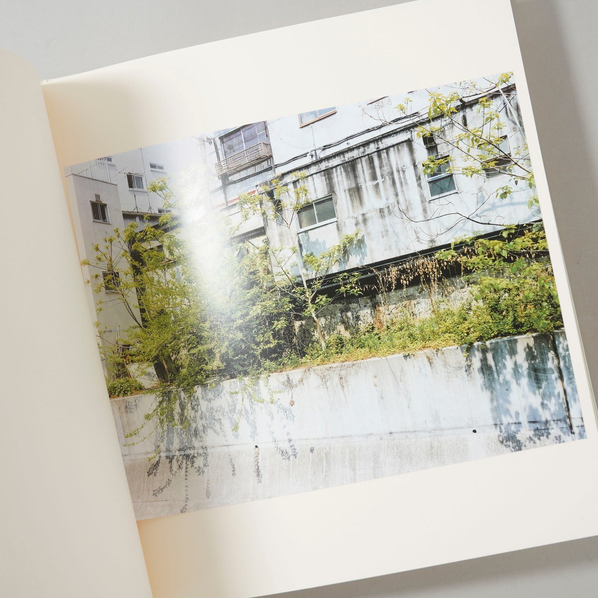 LIFE GOES ON / 高橋恭司(Kyoji Takahashi) | bookobsc
