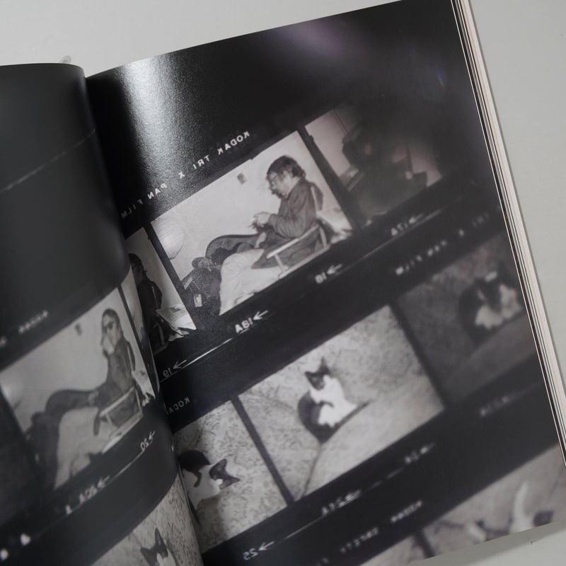 Saul Leiter In Stillness / 井津由美子(Yumiko Izu) |