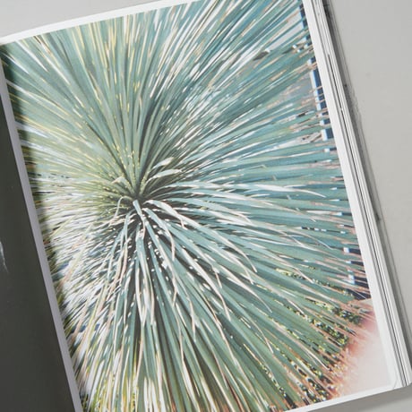 IKEBANA ALBUMS / Ana Kras(アナ・クラシュ)