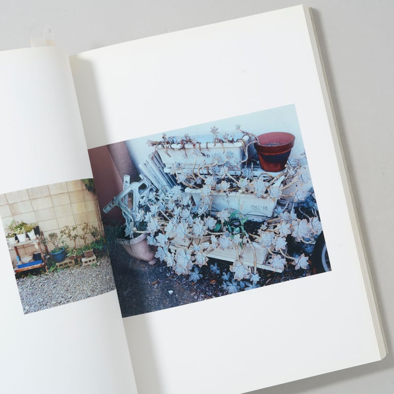 植木 / 高木康行(Yasuyuki Takagi) | bookobscura｜写真集専門書
