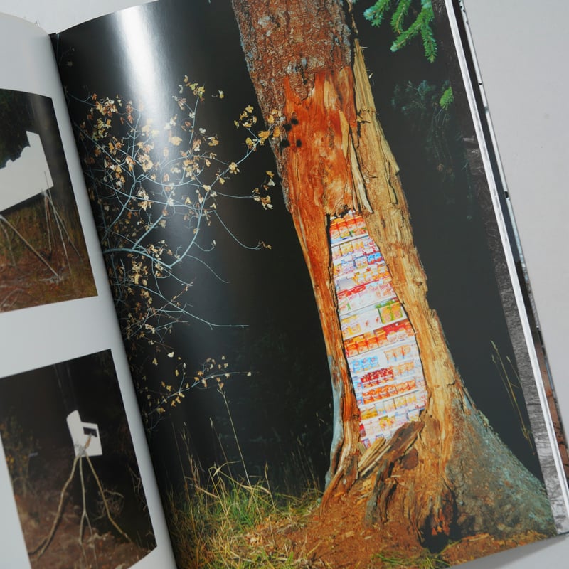 The Great Unreal / Taiyo Onorato and Nico Krebs