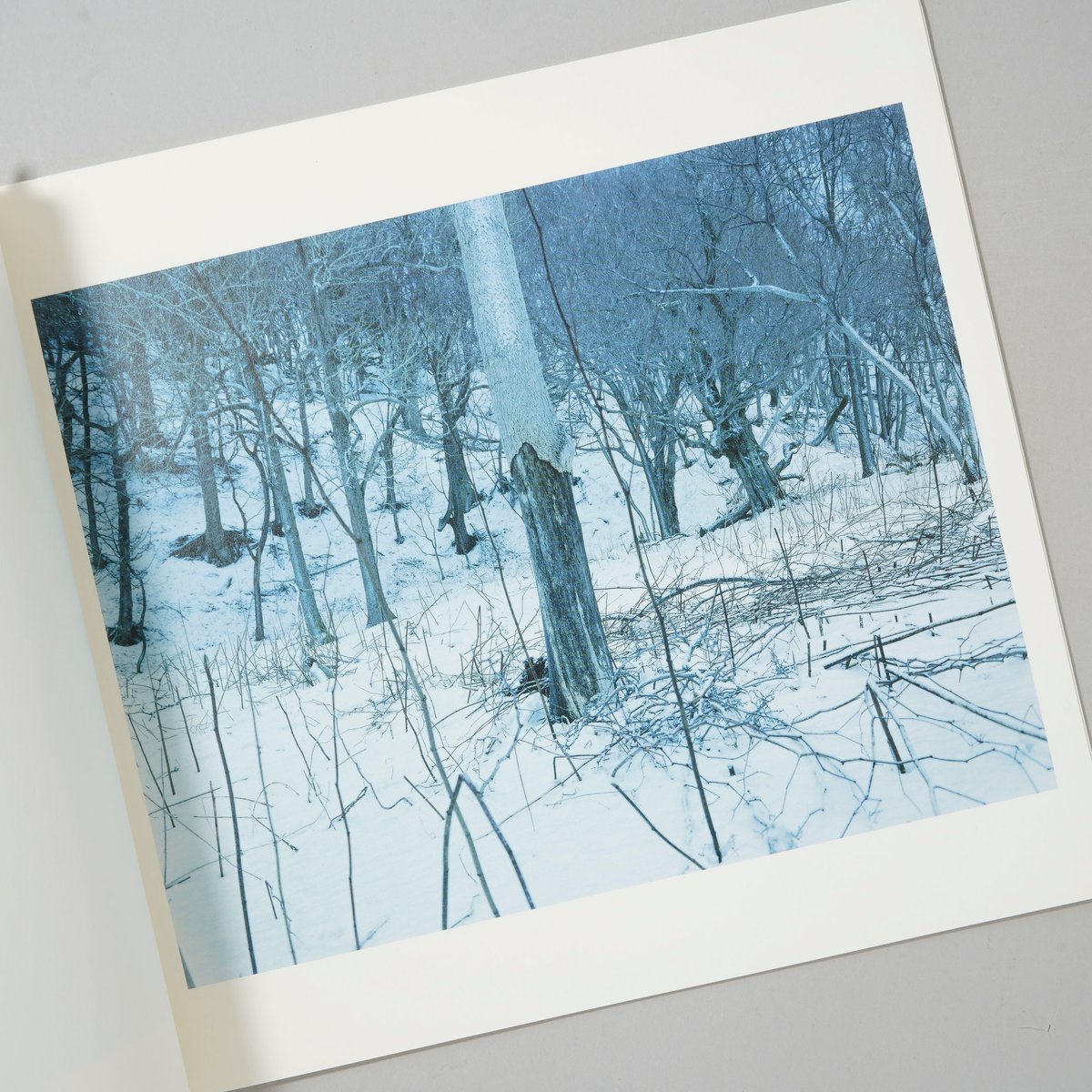 Trails / ホンマタカシ(Takashi Homma) | bookobscura｜写真