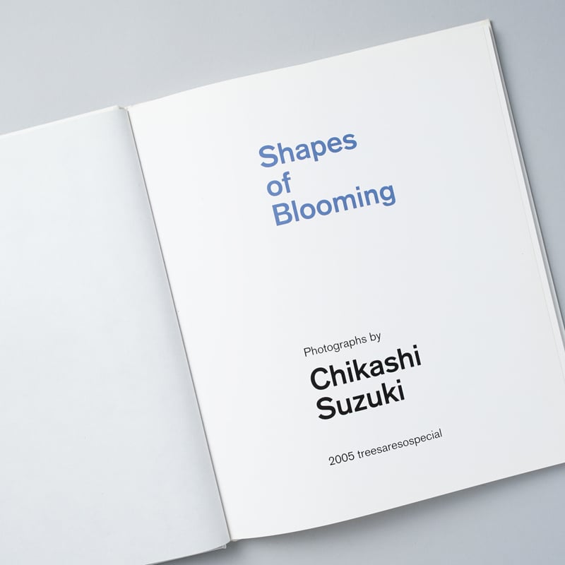 年末のプロモーション特価！ Shapes of Blooming Chikashi Suzuki 鈴木