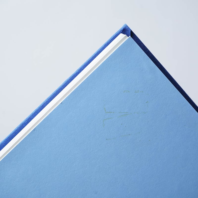 BLUE PRINTS / Zeva Oelbaum (セヴァ・オエルバム) | bookob
