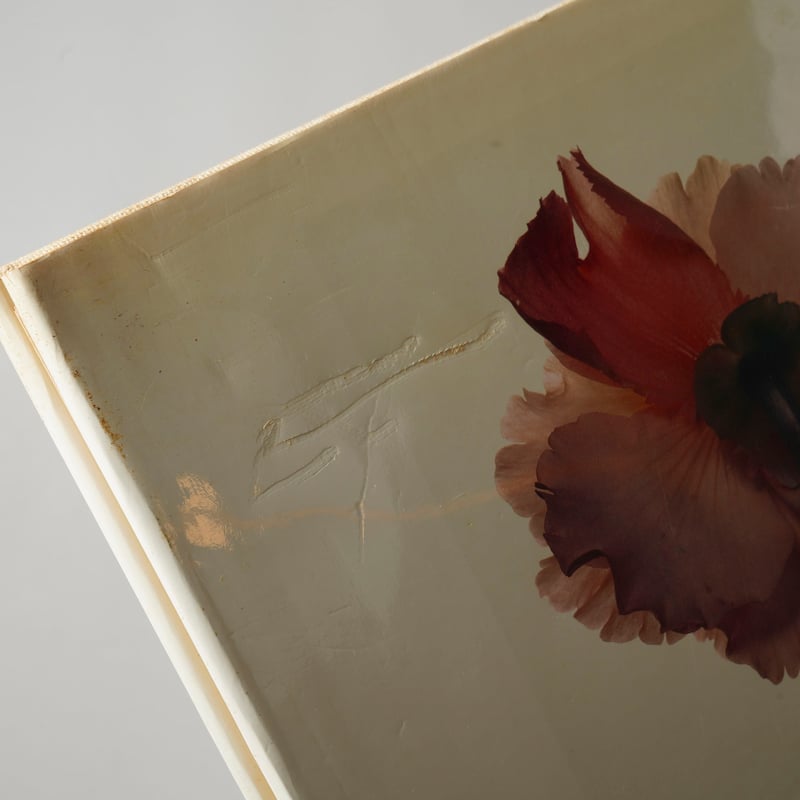 FLOWERS / Irving Penn (アーヴィング・ペン) | bookobscura