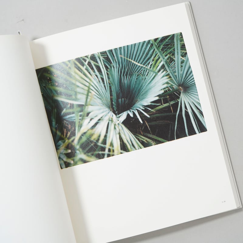 草野庸子　写真集　Across the Sea Across the Sea / 草野庸子(Yoko Kusano) | bookobscur
