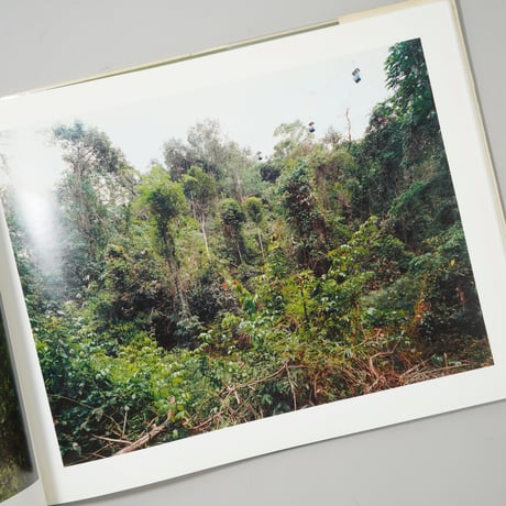 NEW PICTURES FROM PARADISE / Thomas Struth(トーマス・シュトゥルート)